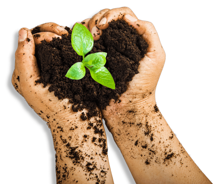 mano che tiene una piccola quantità di terra con un germoglio