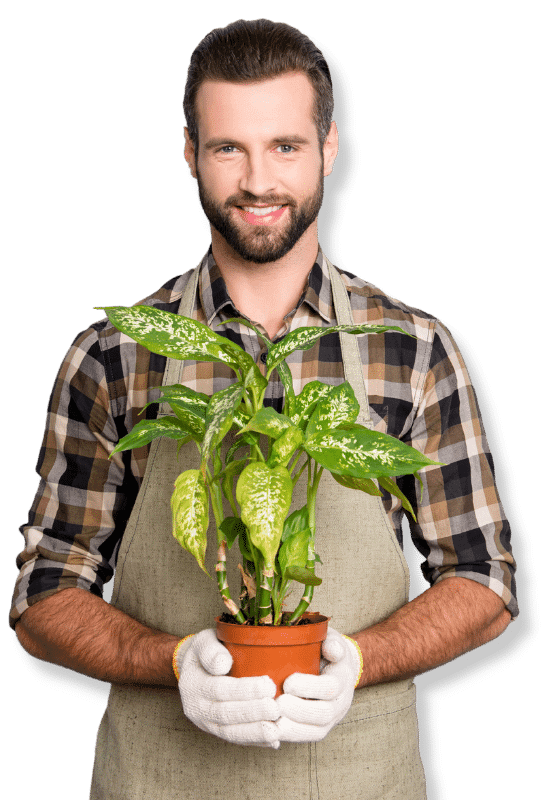progetto giardinaggio