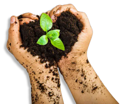 mano che tiene una piccola quantità di terra con un germoglio