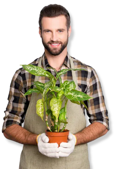 progetto giardinaggio