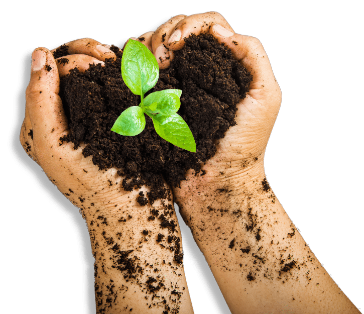 mano che tiene una piccola quantità di terra con un germoglio