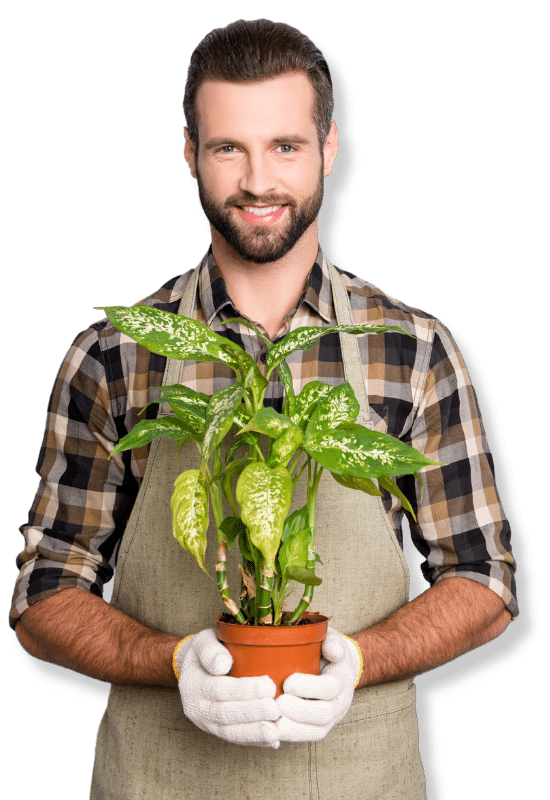 progetto giardinaggio